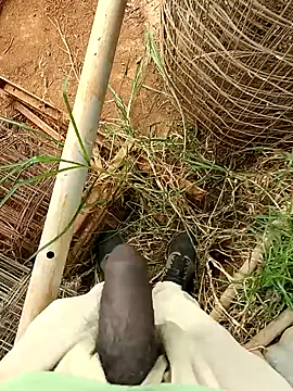 sanju 5418 online show from April 5, 2026, 8:55 am