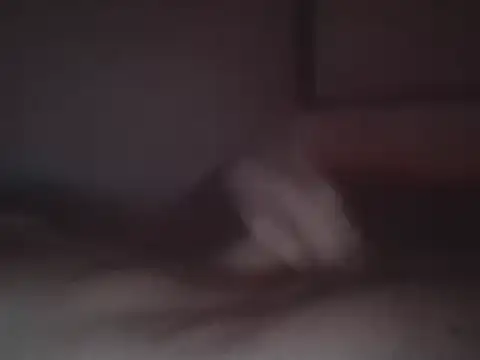 Foxmen9090 online show from March 27, 2026, 4:29 am