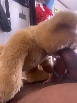 Bigcock127 online show from March 26, 2026, 8:25 pm