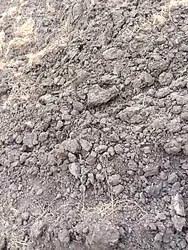 Snapshot of hotpussyxxx777 chatting on June 26, 2026, 1:15 pm hotpussyxxx777 online show from June 26, 2026, 1:15 pm