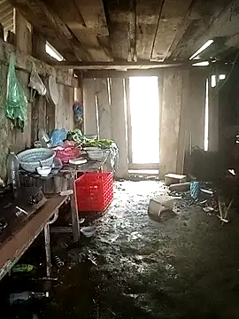 Lily Daisy online show from March 25, 2026, 3:56 am