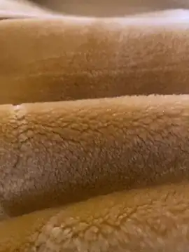 Ashwak trans online show from April 4, 2026, 12:02 pm