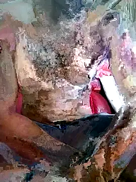 SteedyGee online show from March 27, 2026, 9:32 am