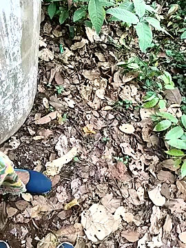 Chandni78 online show from April 2, 2026, 7:50 am