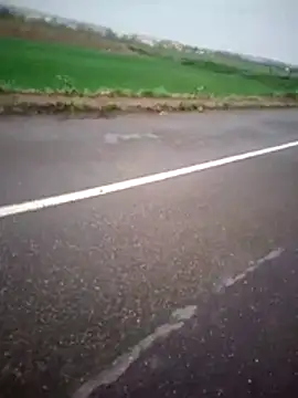 alicancetin11 online show from April 2, 2026, 8:23 am