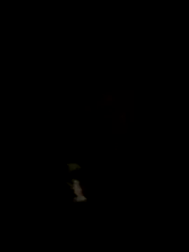 alicancetin11 online show from April 9, 2026, 7:30 pm