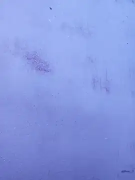 Legend choice online show from April 15, 2026, 7:59 am