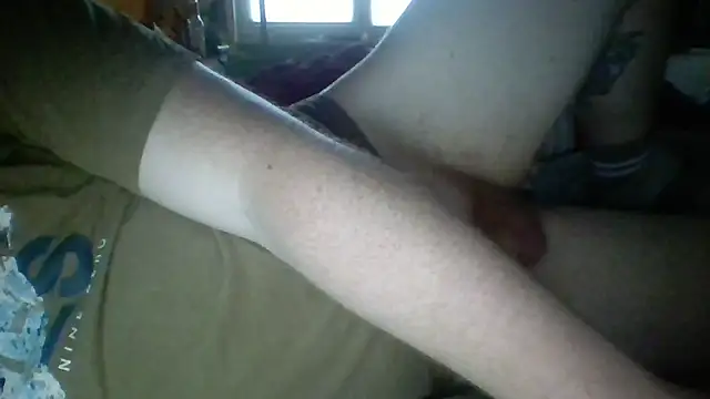 Pallmees online show from June 30, 2026, 12:17 pm