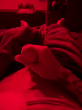 Dstat715 online show from April 19, 2026, 6:02 am