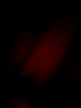 Eivar003 online show from April 3, 2026, 4:54 am