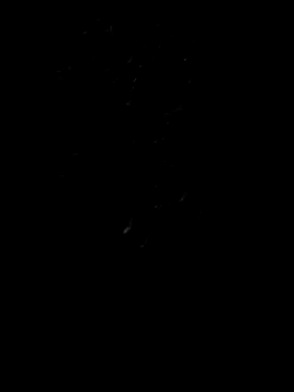 Snapshot of Rocky_pune chatting on April 8, 2026, 1:55 pm Rocky pune online show from April 8, 2026, 1:55 pm