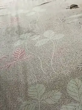 pujaji098 online show from April 13, 2026, 4:07 am