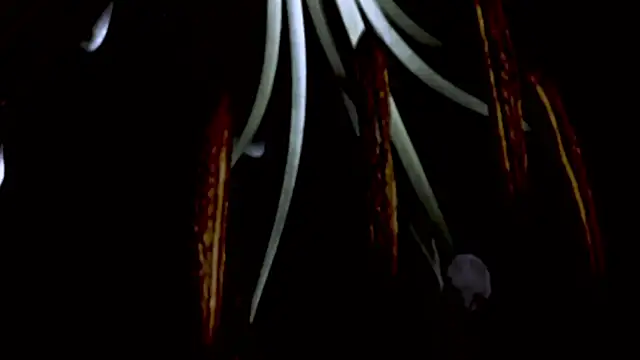 Vandaaethusa online show from April 16, 2026, 4:52 pm