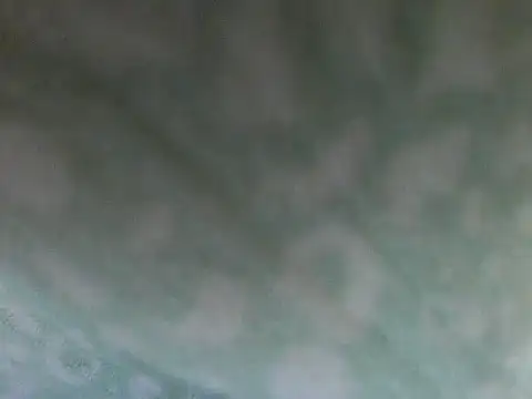 Short-V online show from April 17, 2026, 8:12 pm