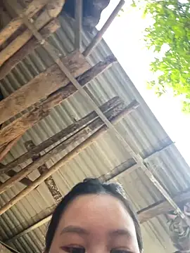 Swan 69 online show from April 21, 2026, 9:59 am