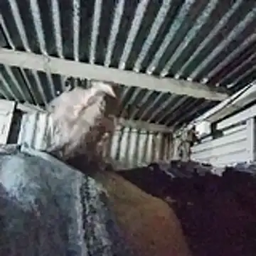 PUNEPLAYBOY2 online show from April 20, 2026, 3:04 pm