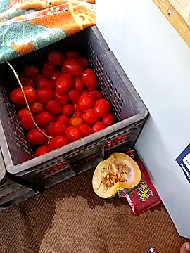 Sanjaykumarsaini online show from April 26, 2026, 6:33 am