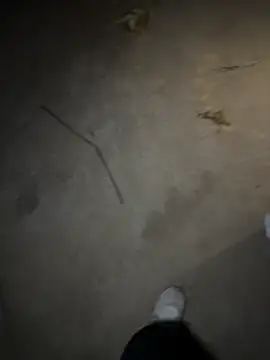   I like    online show from April 30, 2026, 2:45 pm