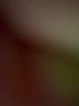Snapshot of MiaX12 chatting on May 16, 2026, 7:12 pm MiaX12 online show from May 16, 2026, 7:12 pm