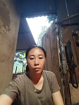 Jinli 01 online show from August 8, 2026, 11:34 am