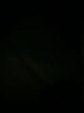 slutytransgal online show from May 6, 2026, 2:08 am