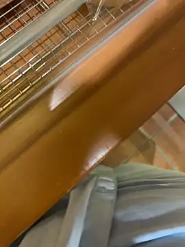 susu kara online show from July 7, 2026, 7:23 am