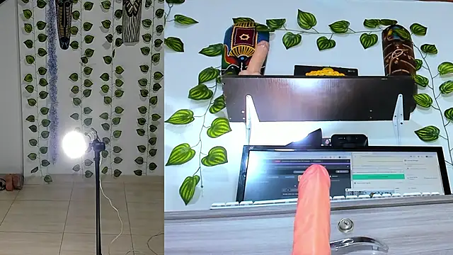 gaia funny online show from June 13, 2026, 11:08 am