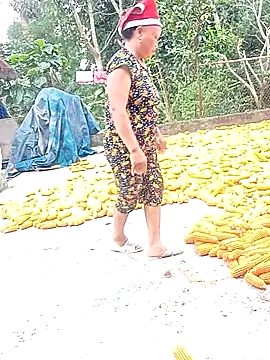 Bong sexy online show from July 7, 2026, 6:47 am