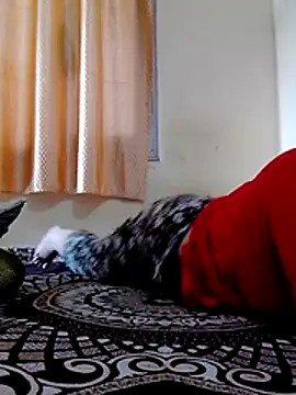 Sexy tanvi011 online show from July 13, 2026, 9:12 am