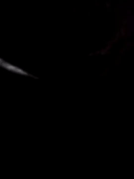 whitecock8-8 online show from July 15, 2026, 11:54 pm
