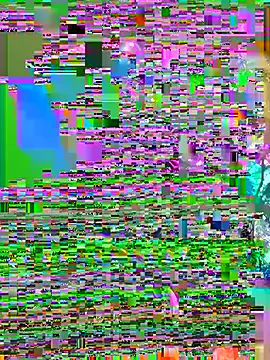 cycd3490 online show from July 9, 2026, 6:28 am