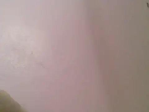 cute bee online show from June 9, 2026, 5:35 pm