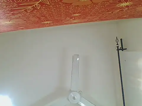 Cutejuly online show from August 5, 2026, 1:36 pm
