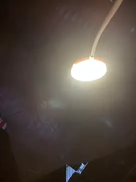 Been-sexy online show from August 6, 2026, 2:02 am
