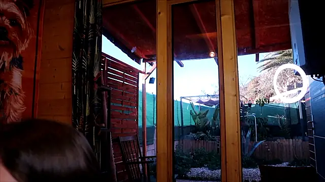 LittleMe97 online show from February 15, 2026, 8:35 am