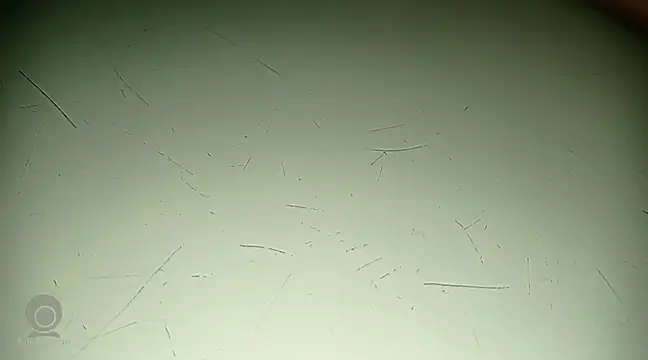 Snapshot of Just_for_trans chatting on February 21, 2025, 3:10 pm Just for trans online show from February 21, 2025, 3:10 pm