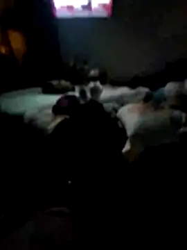 juliopantoja online show from February 15, 2026, 5:04 am