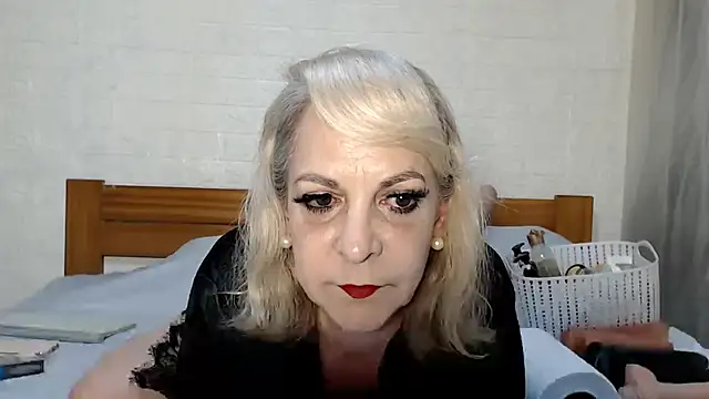awild kitten online show from June 16, 2026, 9:23 am