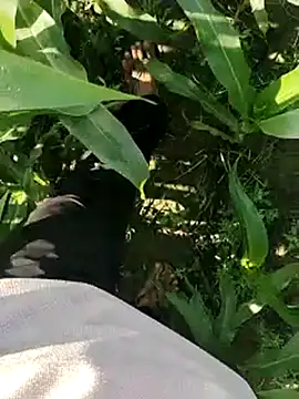 ThethunderPo online show from March 19, 2025, 2:48 am