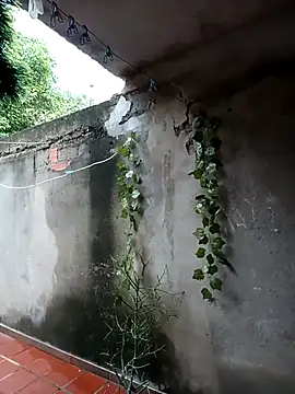 Camilatinass  online show from April 16, 2026, 11:55 am