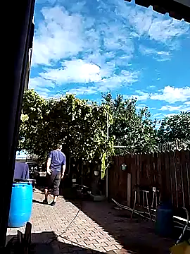 sarpe4 online show from October 5, 2025, 10:57 am