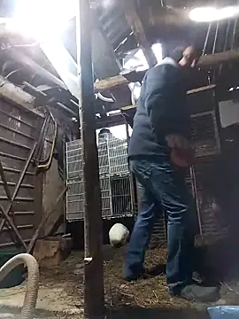 Snapshot of sarpe4 chatting on February 21, 2026, 5:19 am sarpe4 online show from February 21, 2026, 5:19 am