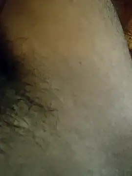 Samsharma1170 online show from January 31, 2025, 3:55 pm