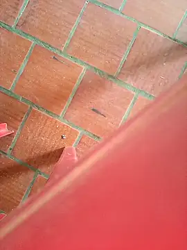 Brenda Berck  online show from September 12, 2025, 2:06 pm