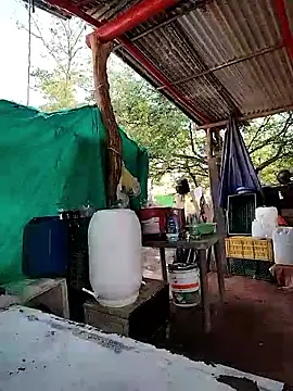 Brenda Berck  online show from March 5, 2026, 2:02 pm