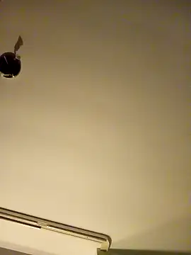 NiceHunter89 online show from January 26, 2025, 2:45 am