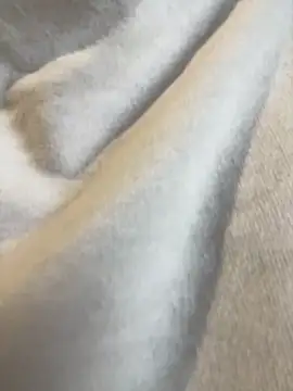 Snapshot of Aestheticsgirl chatting on March 3, 2026, 7:47 am Aestheticsgirl online show from March 3, 2026, 7:47 am