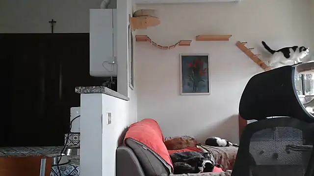 simona60 online show from February 9, 2025, 2:07 pm