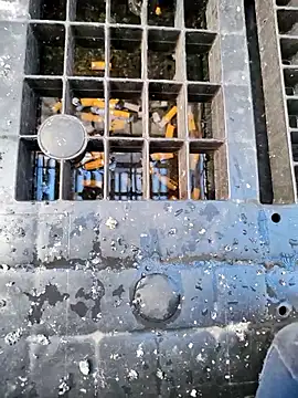 Ethangay online show from March 31, 2026, 6:47 am