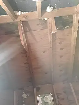 MaddyC6992 online show from December 26, 2024, 12:49 pm